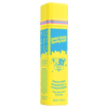 Disco Dog Shampoo x Conditioner